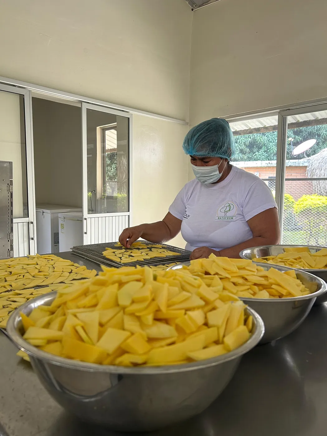 Operaria de Natufrum cortando mango en la planta procesadora